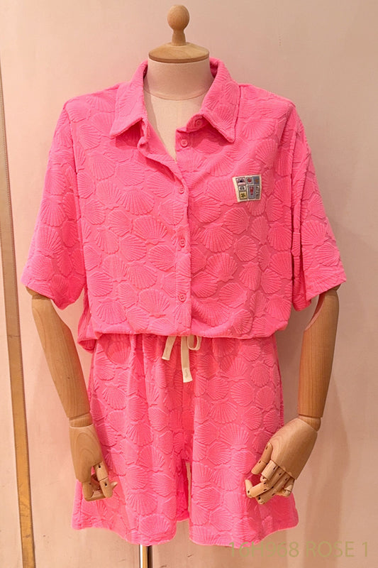 Top Shell rose